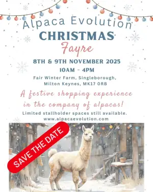 Click Here To Enlarge This Photo Of Alpaca fair