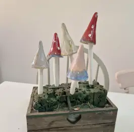 Shrooms